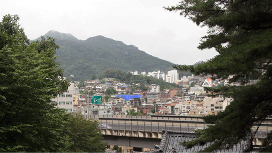 서울납골