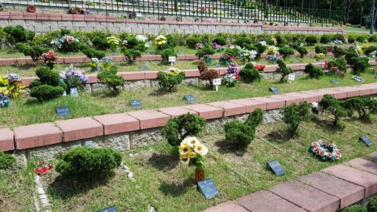 용인수목장