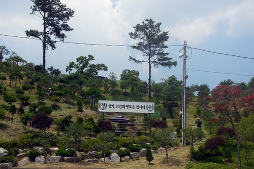 수목장지