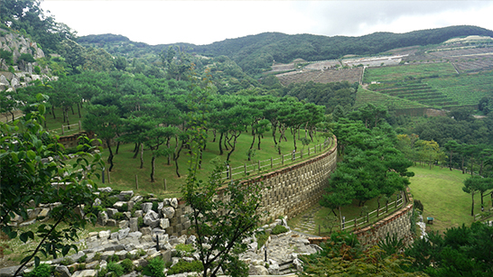 소나무수목장