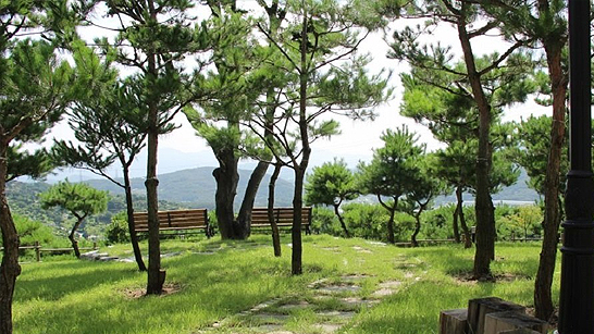 분당자연장