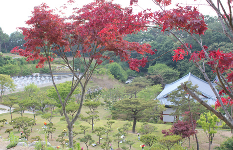 수목장